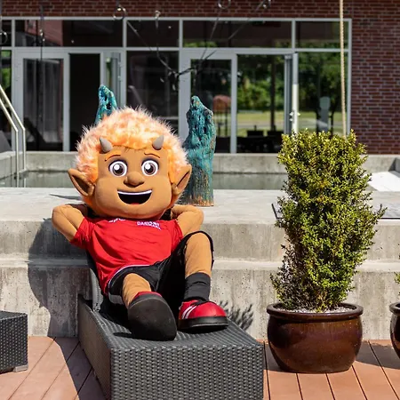 Sportsby - Danhostel, Huse Og 호스텔 *